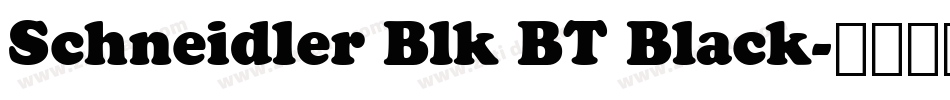 Schneidler Blk BT Black字体转换